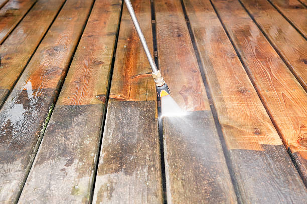 Best Roof Cleaning and Mildew Removal in Murfreesboro, NC